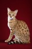 F2-Tina5.jpg F2-Tina5.jpg