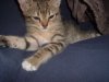 LOKI 005.jpg