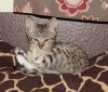 Charlie04262.jpg