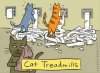 cat treadmill.jpg