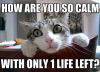 00157b170030d6235cabf99d1a02d9117b.png