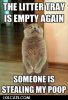 lolcatsdotcomsyucc7vghgeu3ygu.jpg
