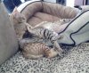 ixas-cinny-0513_4_web.jpg