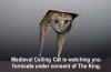 medieval celing cat.jpg