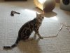 DSCN1263.JPG