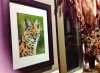 Serval 3 copyright Tamara.jpeg Serval 3 copyright Tamara.jpeg