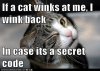 wink.jpg