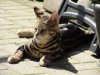 DSC01658.JPG