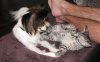 10 weeks - 1.JPG