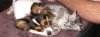 10 weeks - 2.JPG