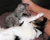 10 weeks - 4.JPG