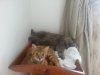 20130606_130948.jpg