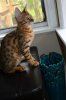 DSC_0062.jpg