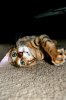 DSC_0076.jpg