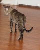 060613-zuri_web.jpg