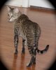 060613-zuri2_web.jpg