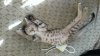 WP_20130603_002.jpg