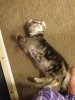 Tessa playing 8 wks.jpg