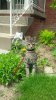 IMG_00001770.jpg