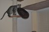DSC_0154.JPG