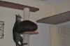 DSC_0155.JPG