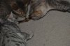 DSC_0121.JPG