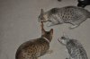 DSC_0118.JPG