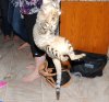 DSC_0184.JPG