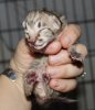 BabyJenny0630.jpg