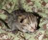 BabyRocco0630.jpg