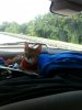 IMG_1754.jpg