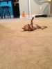 ImageUploadedByTapatalk1374006696.505250.jpg