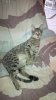 IMG_00002148.jpg