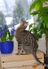 DSC_0291.jpg