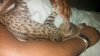 IMG_20130721_084602_412.jpg