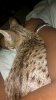 IMG_20130721_083044_931.jpg