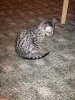 ImageUploadedByTapatalk1374447956.765430.jpg