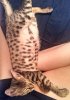 IMG_20130723_133846.jpg