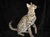 Leto14_Bigger10.jpg
