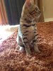 ImageUploadedByTapatalk1375553151.303120.jpg