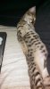 IMG_20130803_185535_868.jpg