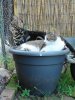 DSC02152.JPG