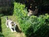 DSC02098.JPG