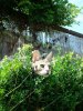 DSC02107.JPG