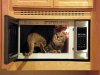bunsinoven.jpg