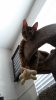 20130814_132347.jpg