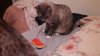 IMG_20130818_174735_519.jpg