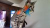 IMG_20130814_221902_465.jpg