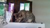 IMG_20130814_221858_227.jpg