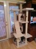 IMG_20130825_183223.jpg